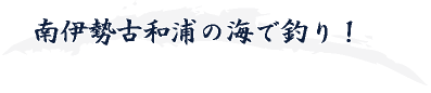 南伊勢古和浦の海で釣り！